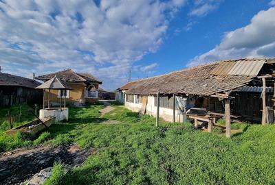 Casă cu Teren 1111 Mp în Hotărani - 2