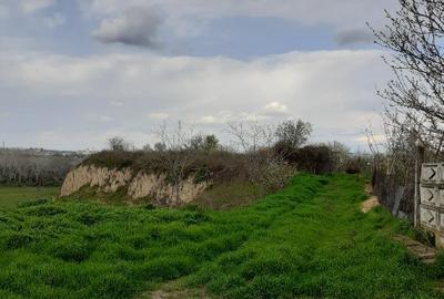 Teren Construcții intravilan de 3000 mp, în Ciulnița - 1