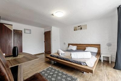 Pensiune func?ionala de vanzare pe Calea Radnei, Arad - 11