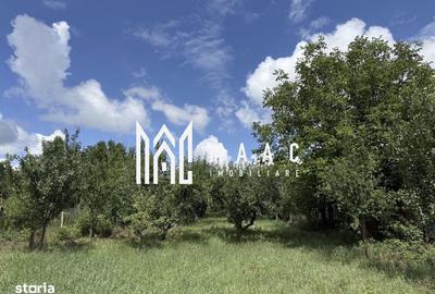 Casă cu 3 camere cu Teren 1400 Mp în Central