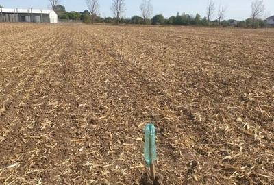 Proprietar Teren intravilan 2370 mp la intrarea in orasul Fundulea - 2