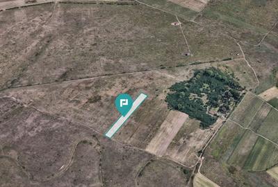 Teren Construcții extravilan de 10000 mp, în Moșnița Nouă - 2