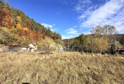 Teren intravilan cu PUZ 2000/400 mp -Sacele  - Bradet - 7