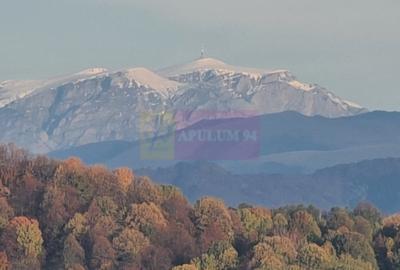Teren intravilan de vanzare in Telega Teren intravilan de vanzare in Telega - 2