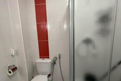 Apartament 3 camere Theodor Pallady - 2