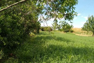 Casa de vanzare - sat. Vasile Alecsandri, jud. Galati - 2