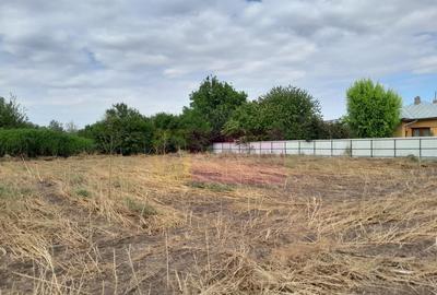 Movilita (IL)-teren de inchiriat aprox. 2 ha stradal, lan... - 14