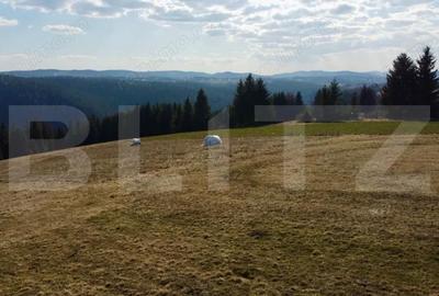 Teren de 10909 mp, în Râșca - 4