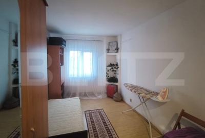 Apartament cu 4 camere decomandat, mobilat în Brazda lui Novac - 5