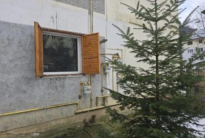 Apartament cu 2 camere decomandat în Valea Azugii - 5