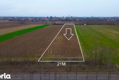 Teren de 4300 mp, în Odoreu - 5