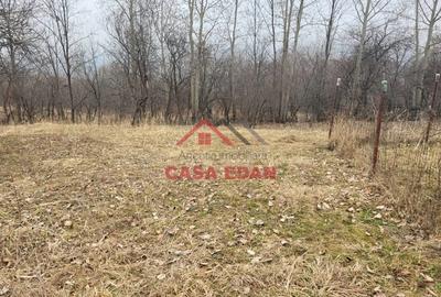 Casă cu Teren 1358 Mp în Gura Beliei - 6