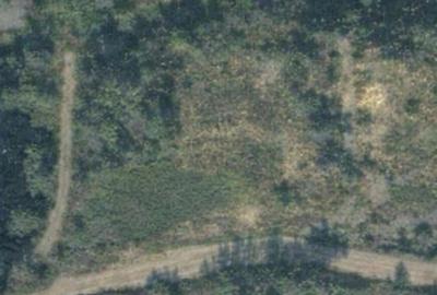 Teren de 6200 mp, în Tăuții-Măgherăuș