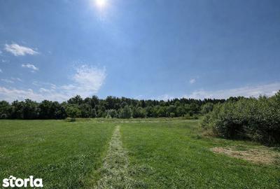 Teren de 3600 mp, în Horodnic - 10