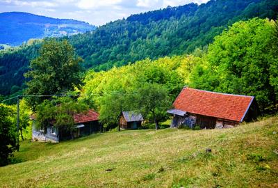 CASA TRADITIONALA, ANEXE si 46.980 mp teren partial INTRAVILAN BULZ - BIHOR - 40