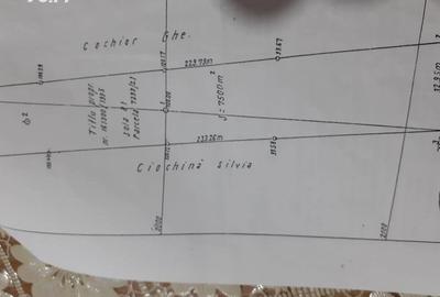 Teren de 7500 mp, în Răcăciuni
