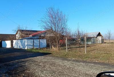 Casa de vanzare Du?ulesti Dolj - 1