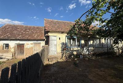 Casă individuală cu 5 camere cu Teren 1518 Mp în Cheresig - 4