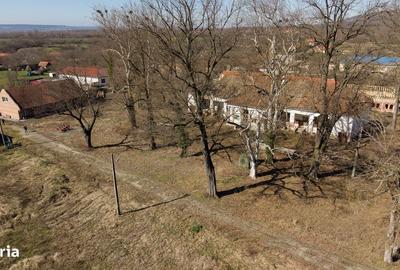 Casă cu 4 camere în Jupani - 8
