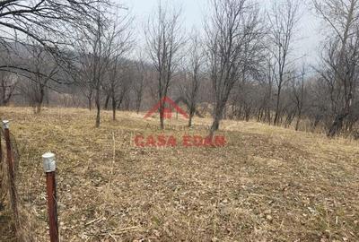 Teren intravilan in Breaza,1358 mp, 40.000e - 6