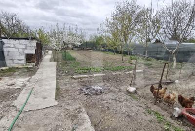 Casă cu 3 camere cu Teren 1000 Mp în Mănești - 2