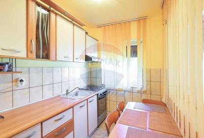 Casa cu anexe ?i teren de 4177 mp de vanzare, Munteni,... - 9