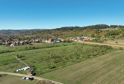 Teren intravilan de 14527 mp, în Aușeu - 9