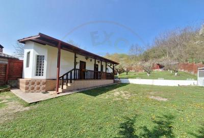 CASA DE VACANTA - UN MIC COLT DE RAI , STEFANESTI, ARGES CASA DE VACANTA - UN MIC COLT DE RAI , STEFANESTI, ARGES - 6