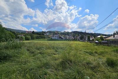Teren intravilan 2,247mp-Vatra Dornei-Str Diecilor, Suceava - 14