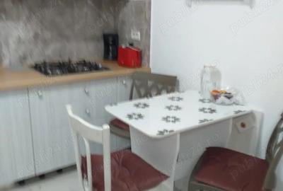 Apartament 3 camere Balta Sarata - 7