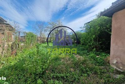 Casă cu 2 camere în Șard - 1