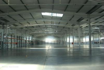 Spațiu comercial, de 1,250 mp, în Cernica - 1