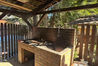 Vila de vanatoare in Santimbru-Bai - 10