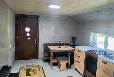Casa in Plaiul ?arului - 7