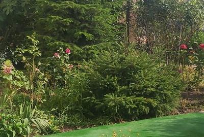 Casă cu 3 camere cu Teren 380 Mp în Iepurești - 1