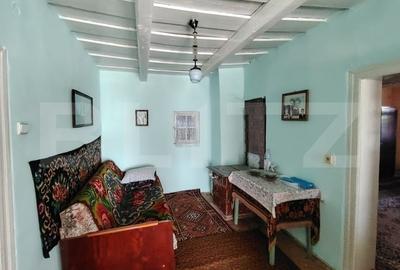 Casa renovabila 2,2 arii taren in Raciu - 9