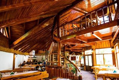 Restaurant de vanzare, Valea Muresului, Andreneasa - 2