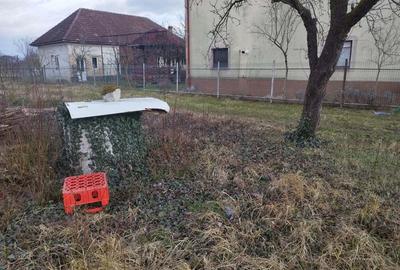 Casa la 15 km de Baia Mare Casa la 15 km de Baia Mare - 3