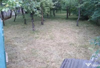 Teren de 800 mp, în Breaza - 4