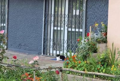 Spațiu comercial, de 20 mp, în Mărăței - 1