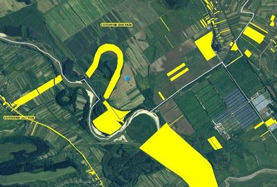 Teren extravilan Cotofanii din Fata 12,500 mp, Dolj - 3001407 - 2