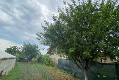 Casă individuală cu 5 camere cu Canalizare în Crucea de Jos - 7