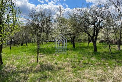 Teren de 4872 mp, în Antoceni - 2