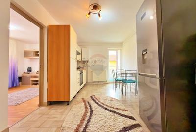 Apartament cu 2 camere semidecomandat, mobilat în Alfa - 2