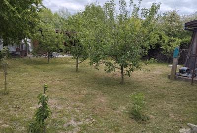 Casă cu 6 camere în Oțelu Roșu - 1