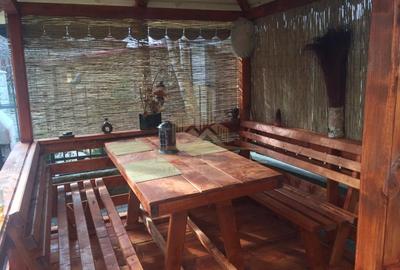 Casă individuală cu 6 camere semidecomandat cu Canalizare în Bună Ziua - 19