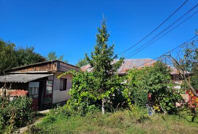 Casă cu 3 camere în Central - 2