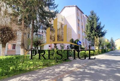 Apartament cu 2 camere nedecomandat, mobilat în Cedonia - 10