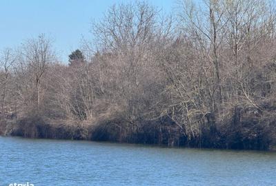 Spațiu comercial, în Găneasa - 5