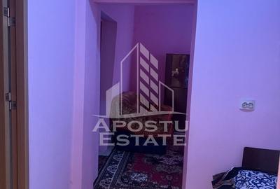 Casa individuala cu teren mare in Remetea Mare - 13